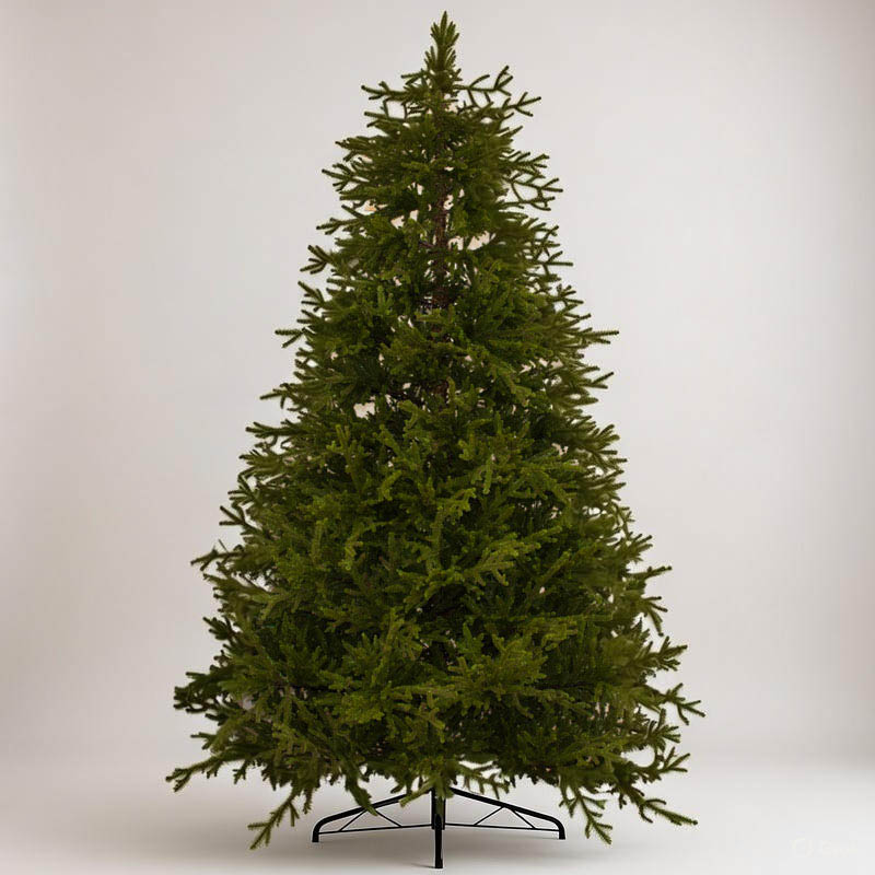 967e101156a111ed9136a4bb6d3deded_50b1b3ddd75f11f09287a4bb6d3deded