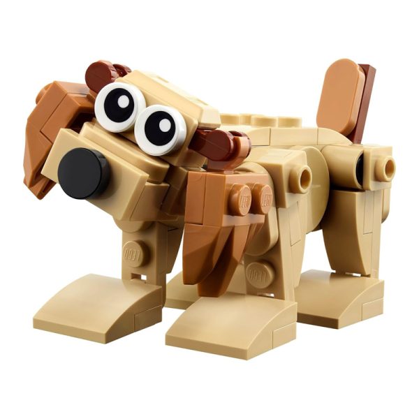 LEGO CREATOR ՆՎԵՐ ԿԵՆԴԱՆԻՆԵՐ - Image 2