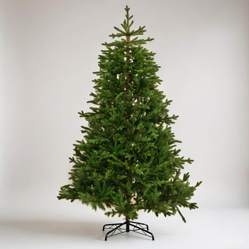 16055118977d11ef9213a4bb6d3deded_8fb78cecd75d11f09287a4bb6d3deded