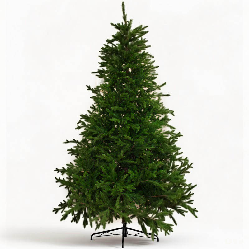 16055119977d11ef9213a4bb6d3deded_9fc177f0d75d11f09287a4bb6d3deded