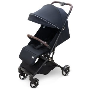 Զբոսասայլակ LanXue Carbon Black