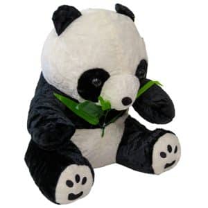 Պանդա